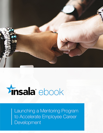 Launching a Mentoring Program to Accelerate Employee Career Development