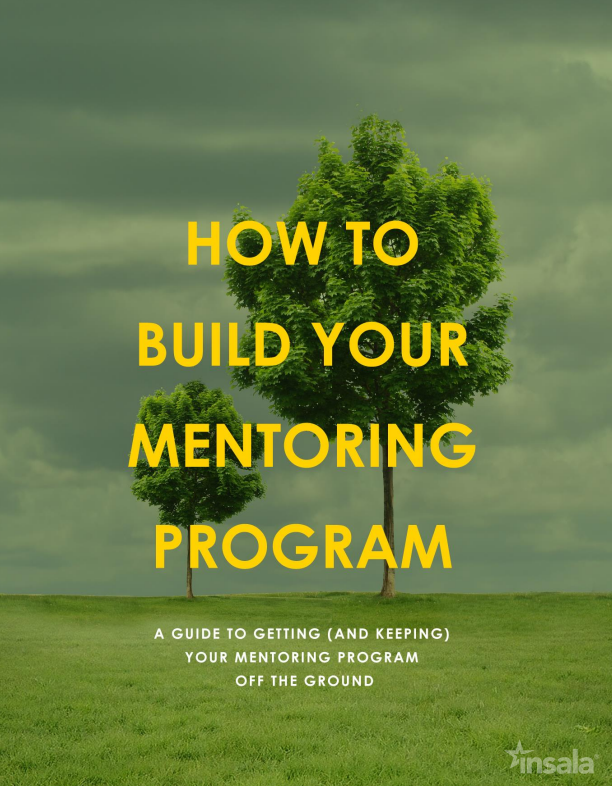 How_to_build_your_mentoring_program